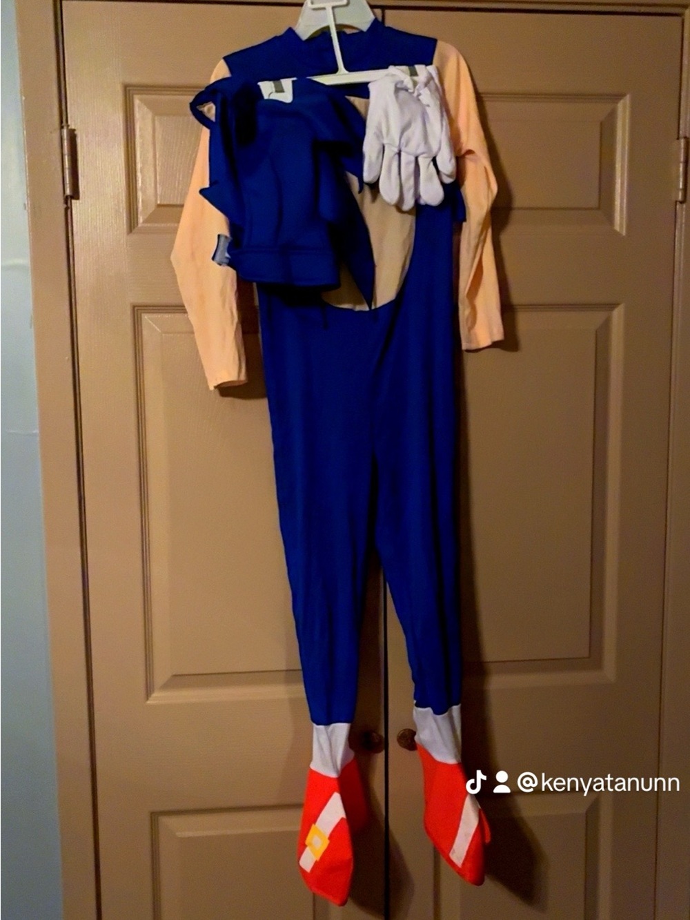 Boys Sonic the Hedgehog Costume